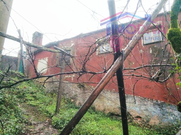 Image No.5-Maison de 3 chambres à vendre à Figueiró dos Vinhos