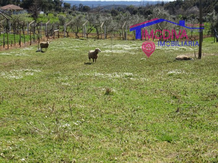 Image No.2-House for sale