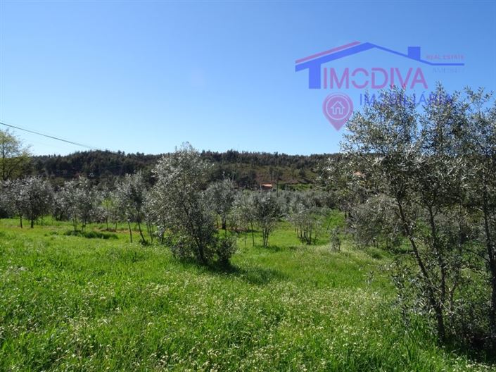 Image No.20-House for sale