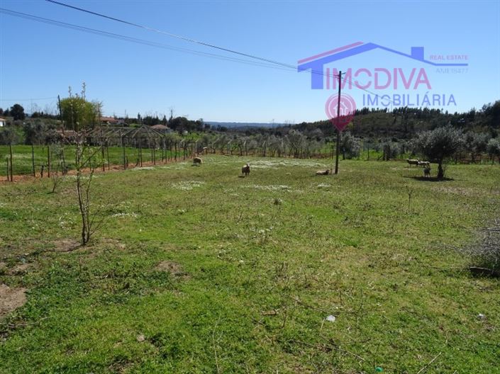 Image No.22-House for sale