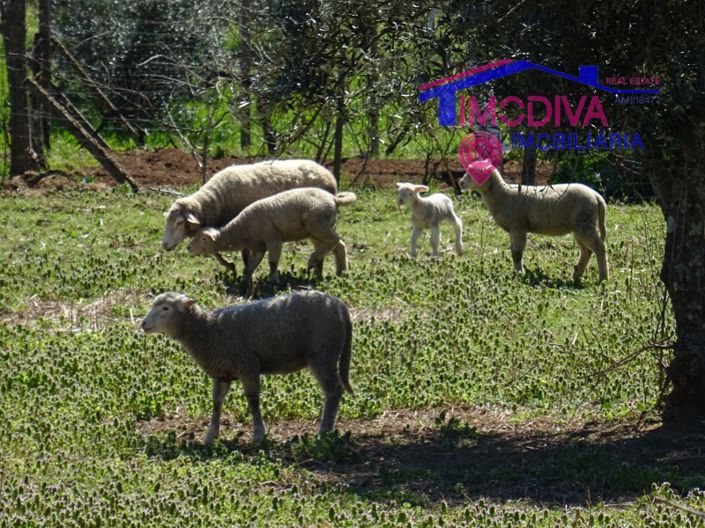 Image No.23-House for sale