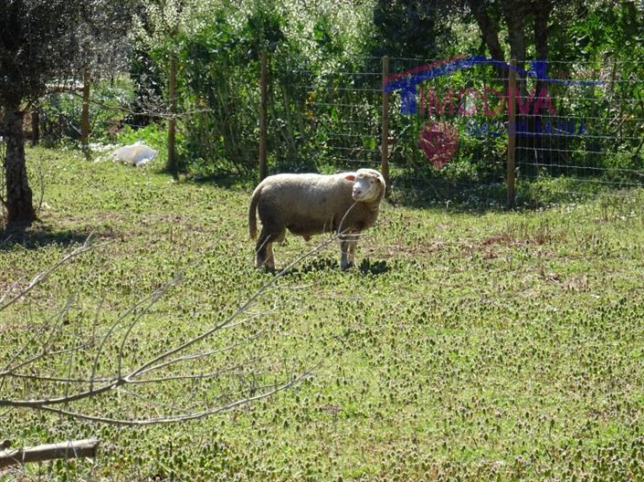 Image No.24-House for sale