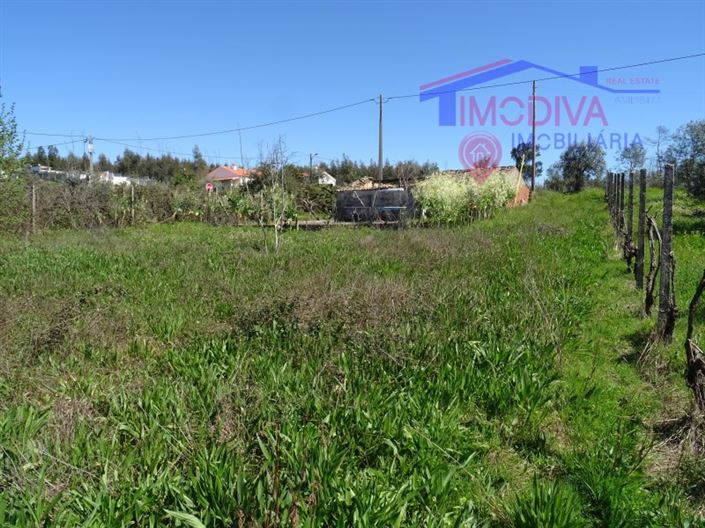 Image No.7-House for sale