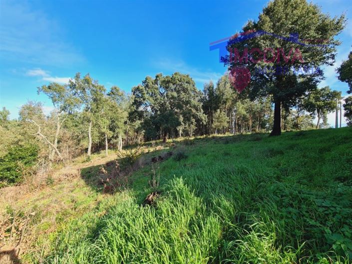 Image No.10-Plot for sale