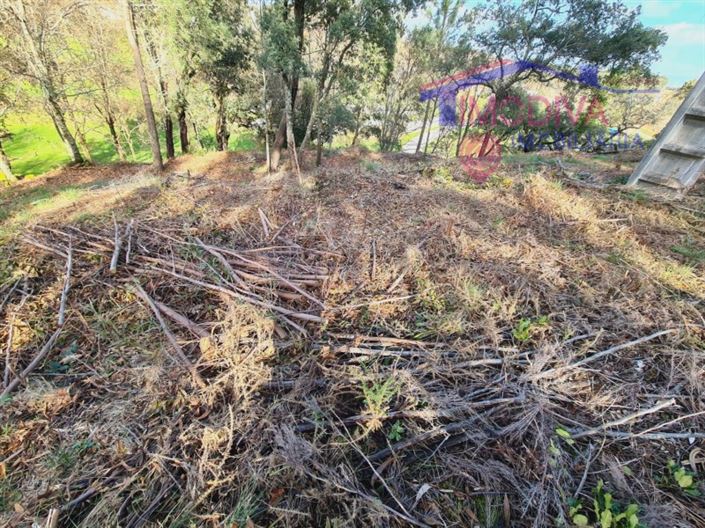 Image No.11-Plot for sale