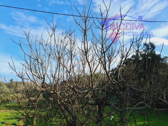 Image No.14-Plot for sale