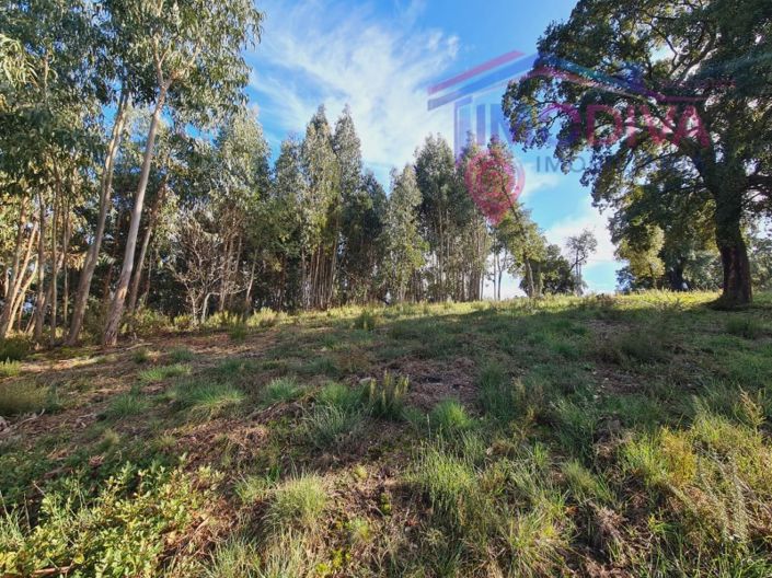 Image No.3-Plot for sale