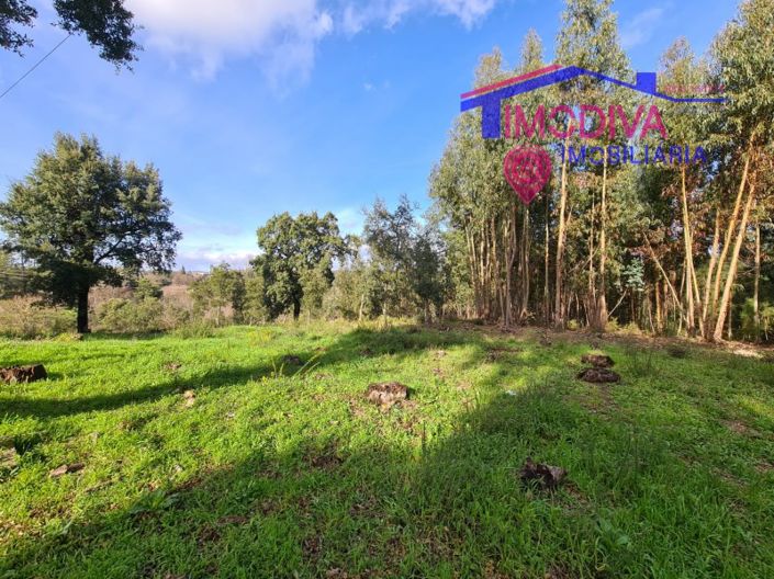 Image No.4-Plot for sale