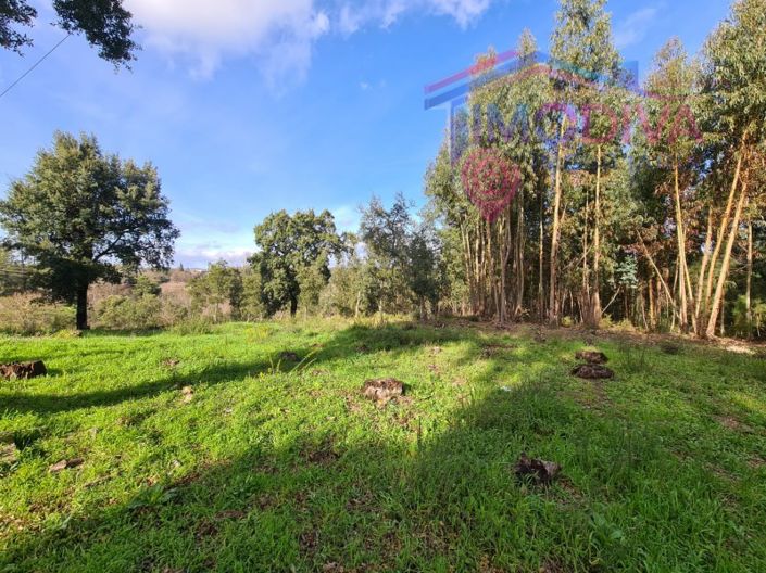 Image No.5-Plot for sale