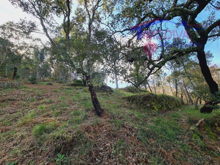 Image No.6-Plot for sale