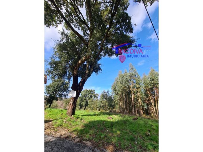 Image No.9-Plot for sale