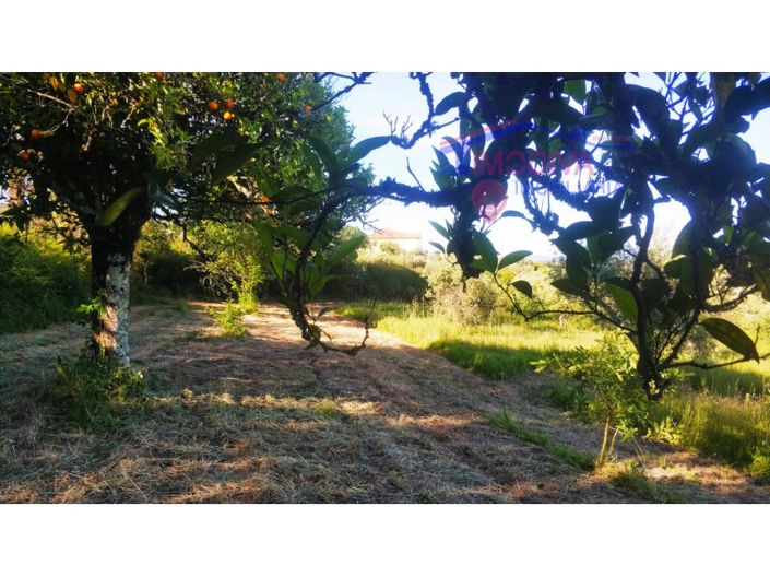 Image No.37-2 Bed Farmhouse for sale