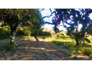 id405c5101-0000-0500-0000-000010b155f6