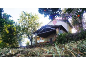 id405c5101-0000-0500-0000-000010b155c2