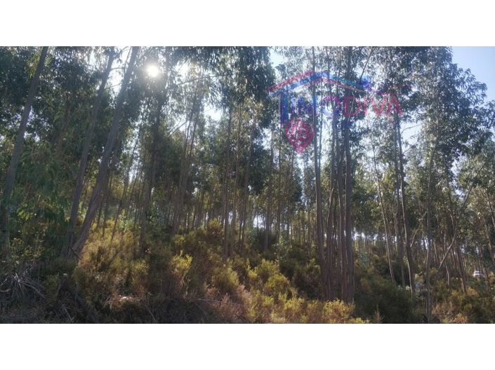 Image No.3-Plot for sale