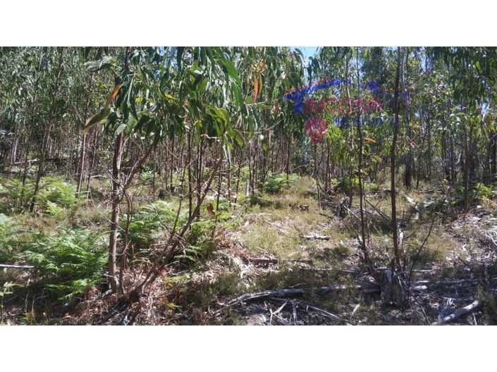 Image No.8-Terrain à vendre à Góis