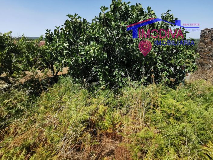 Image No.10-Plot for sale