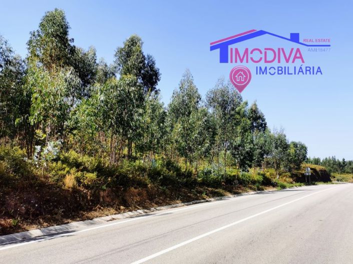 Image No.2-Plot for sale