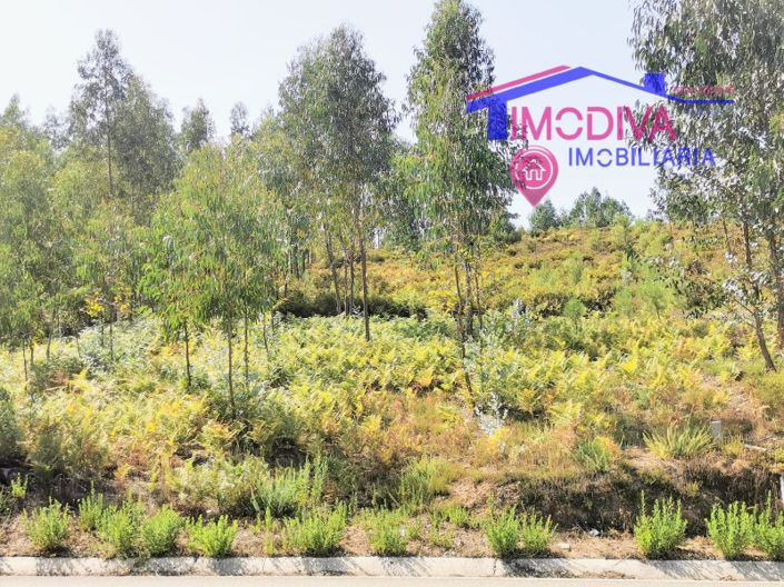 Image No.4-Plot for sale