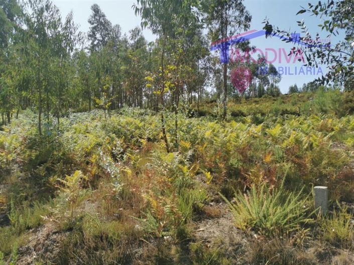 Image No.7-Plot for sale