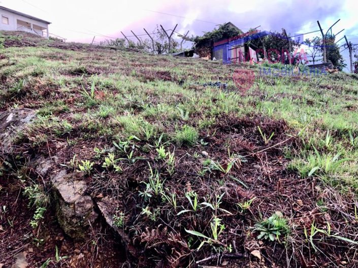 Image No.9-Terrain à vendre à Castanheira de Pêra