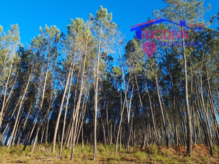 Image No.13-Plot for sale