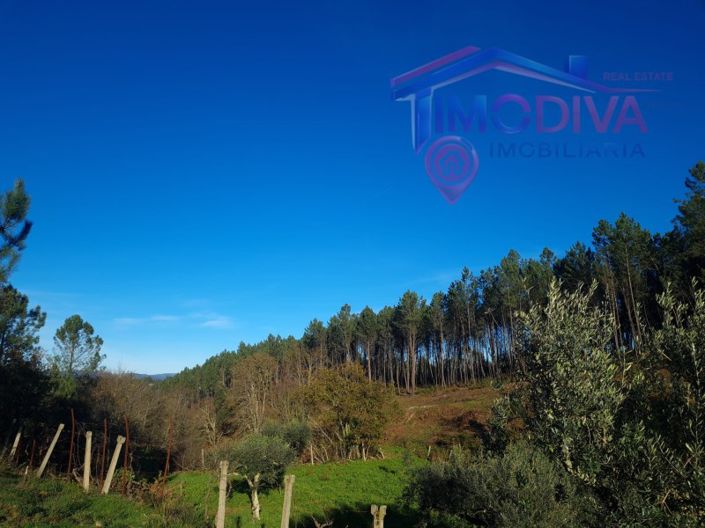 Image No.20-Plot for sale
