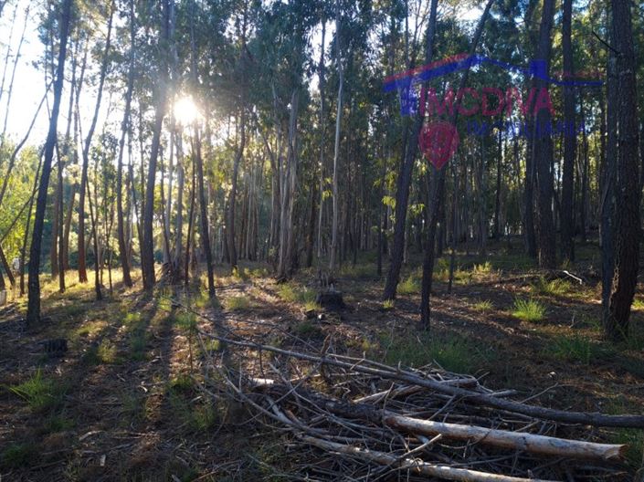 Image No.23-Plot for sale