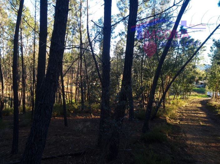 Image No.24-Plot for sale