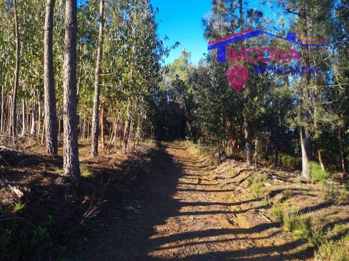 Image No.22-Plot for sale