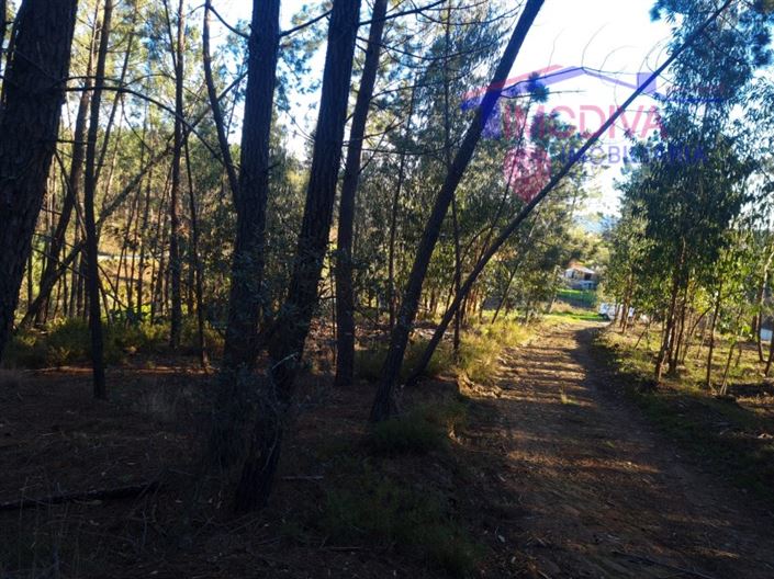 Image No.26-Plot for sale