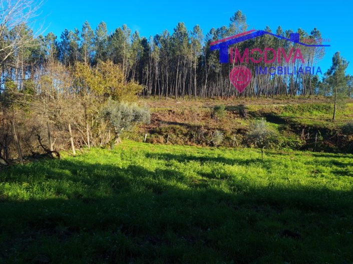 Image No.40-Plot for sale