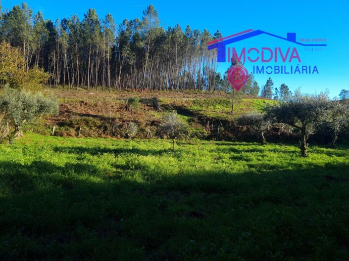 Image No.41-Plot for sale