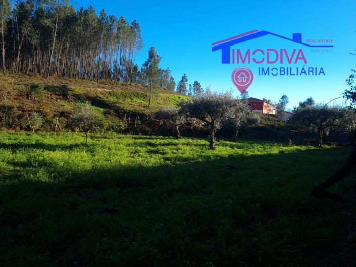 Image No.42-Plot for sale