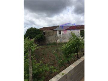 1 - Sertã, Maison