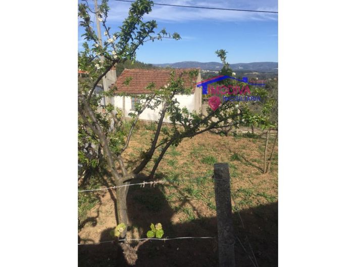 Image No.5-2 Bed House for sale