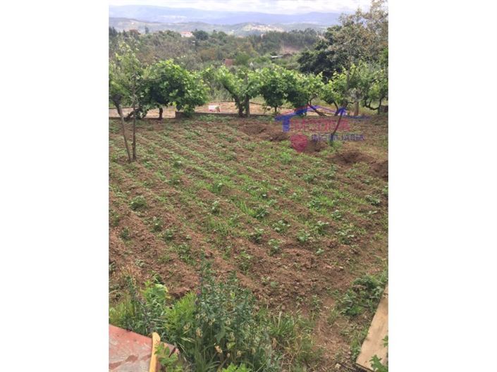 Image No.8-2 Bed House for sale