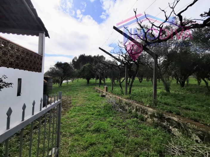 Image No.25-2 Bed House for sale