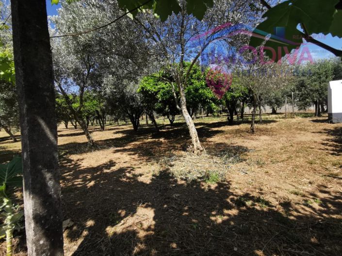 Image No.30-2 Bed House for sale