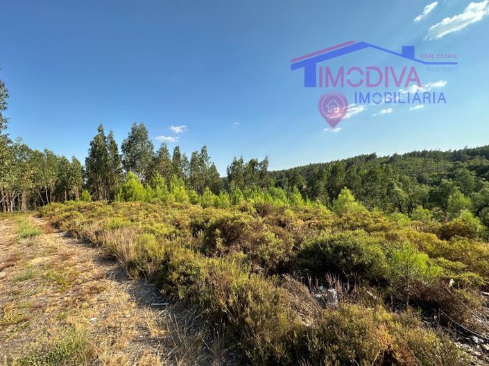 Image No.24-House for sale