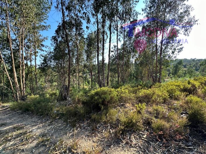 Image No.26-House for sale