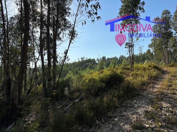 Image No.27-House for sale