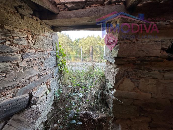 Image No.3-House for sale