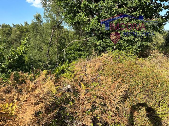 Image No.30-House for sale