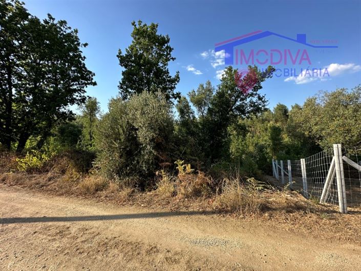 Image No.33-House for sale