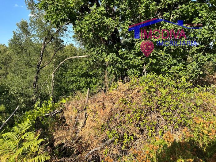 Image No.31-House for sale