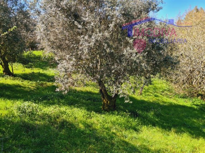 Image No.27-Maison de 5 chambres à vendre à Ansião