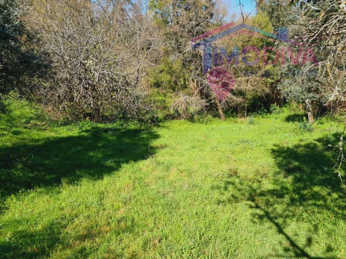 Image No.25-5 Bed House for sale