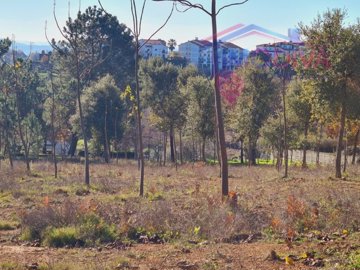 1 - Figueiró dos Vinhos, Terrain