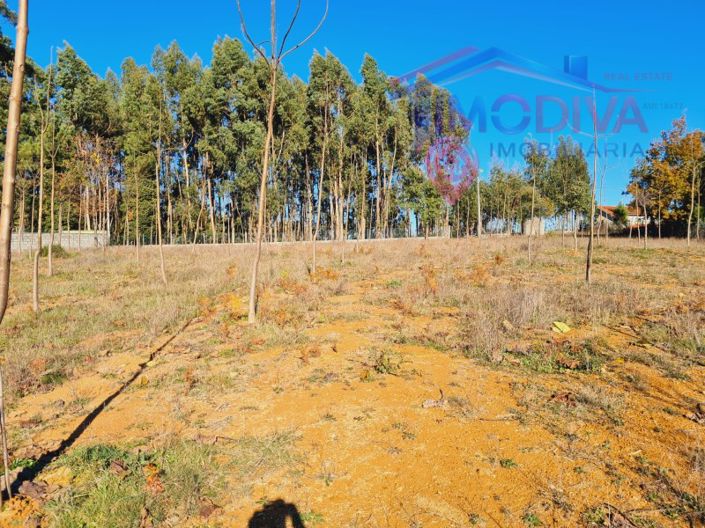 Image No.2-Plot for sale
